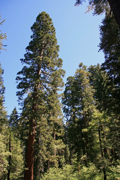 19 yosemite_028.jpg